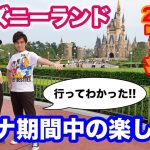 【2020夏】コロナ対策中のディズニーランド完全ガイド！行ってわかった現地の「今」をレポート！