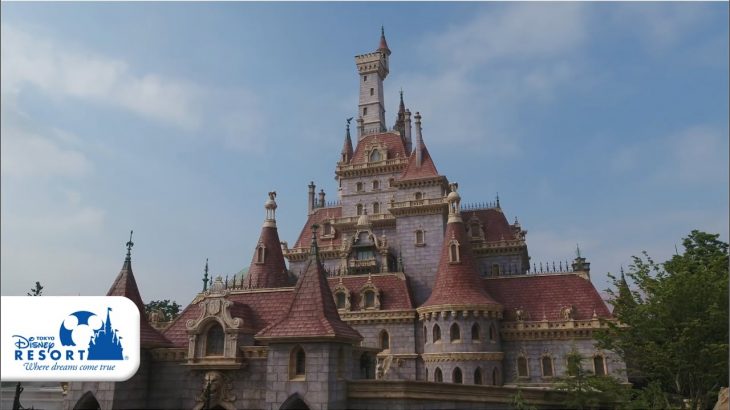 【公式】今日の東京ディズニーランド2020～「美女と野獣“魔法のものがたり”」編①～ | 東京ディズニーランド/Tokyo Disneyland