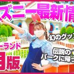 【パーク再開後と大違い】最近ディズニーランドで変化したことまとめ【9月版】