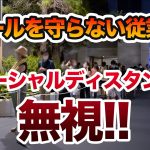 ソーシャルディスタンスを確保させない従業員!!  /  東京ディズニーランド