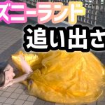 【美女と野獣】ベルのコスプレして東京ディズニーランド【新エリア】行ってみたらまさかの事態が…【TDL】2020