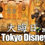 【Vlog】最高の天気！大晦日の東京ディズニーシーとホテルミラコスタ／2020.12.31